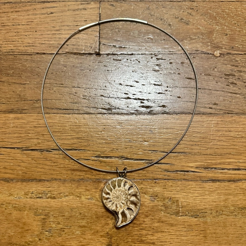 Unique fossilized blonde shell necklace